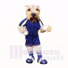 Football Chien Avec Bleu T-shirt Costumes De Mascotte École