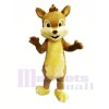 Chipmunk Furry mignon Costumes De Mascotte