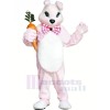 Rose lapin avec Carotte Mascotte Les costumes Animal