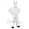 blanc Cheval Mascotte Les costumes Adulte