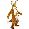 marron Kangourou Adulte Mascotte Les costumes Animal