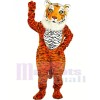 Tigre de luxe Costumes De Mascotte