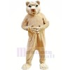 Tan Lion Mascotte Les costumes Adulte