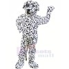 Fort dalmatien Chien Mascotte Les costumes Animal