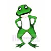 réaliste vert grenouille mascotte costumes dessin animé