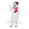 Polaire Ours Avec Chapeau Mascotte Les costumes Dessin animé