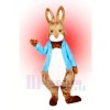 Peter lapin Mascotte Costume Dessin animé