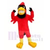 Fort rouge Cardinal Mascotte Les costumes Animal