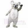 Souriant Gris Poids léger Koala Costumes De Mascotte Dessin animé