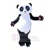 Mignonne Agréable Panda Mascotte Les costumes Pas cher