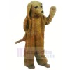 marron Caniche Chien Mascotte Les costumes Adulte