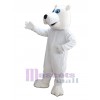 Ours costume de mascotte
