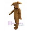 Chien costume de mascotte