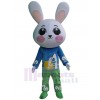 Lapin costume de mascotte