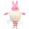 Lapin costume de mascotte