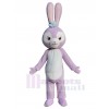 Lapin costume de mascotte