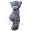 Ours costume de mascotte