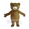 Ours costume de mascotte