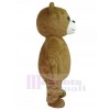 Ours costume de mascotte