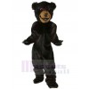Ours costume de mascotte