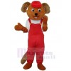 Ours costume de mascotte