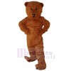 Ours costume de mascotte