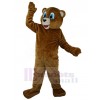 Ours costume de mascotte