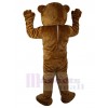Ours costume de mascotte