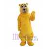 Ours costume de mascotte
