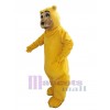Ours costume de mascotte