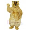 Ours costume de mascotte