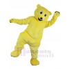 Ours costume de mascotte