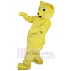 Ours costume de mascotte