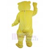 Ours costume de mascotte