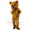 Ours costume de mascotte