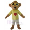 Ours costume de mascotte