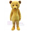 Ours costume de mascotte