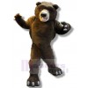 Ours costume de mascotte
