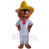 Ours costume de mascotte