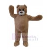 Ours costume de mascotte