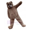 Ours costume de mascotte