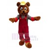 Ours costume de mascotte