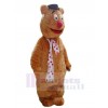 Ours costume de mascotte