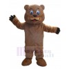 Ours costume de mascotte