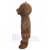 Ours costume de mascotte