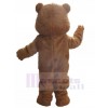 Ours costume de mascotte