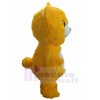 Ours costume de mascotte