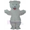 Ours costume de mascotte
