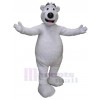 Ours costume de mascotte