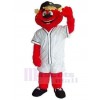 Ours costume de mascotte